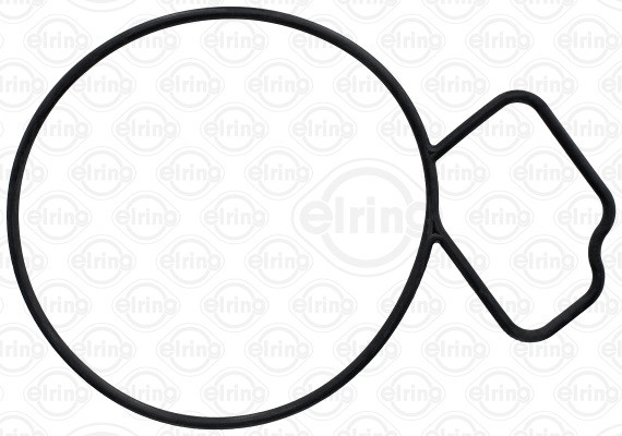 ELRING Dichtung, Wasserpumpe